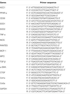 Micronized Palmitoylethanolamide Ameliorates Methionine- and Choline-Deficient Diet–Induced Nonalcoholic Steatohepatitis via Inhibiting Inflammation and Restoring Autophagy